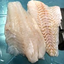 coral-trout-1.jpeg