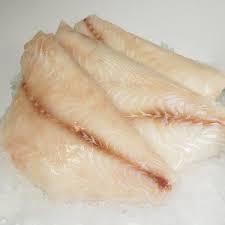 coral-trout-2.jpeg