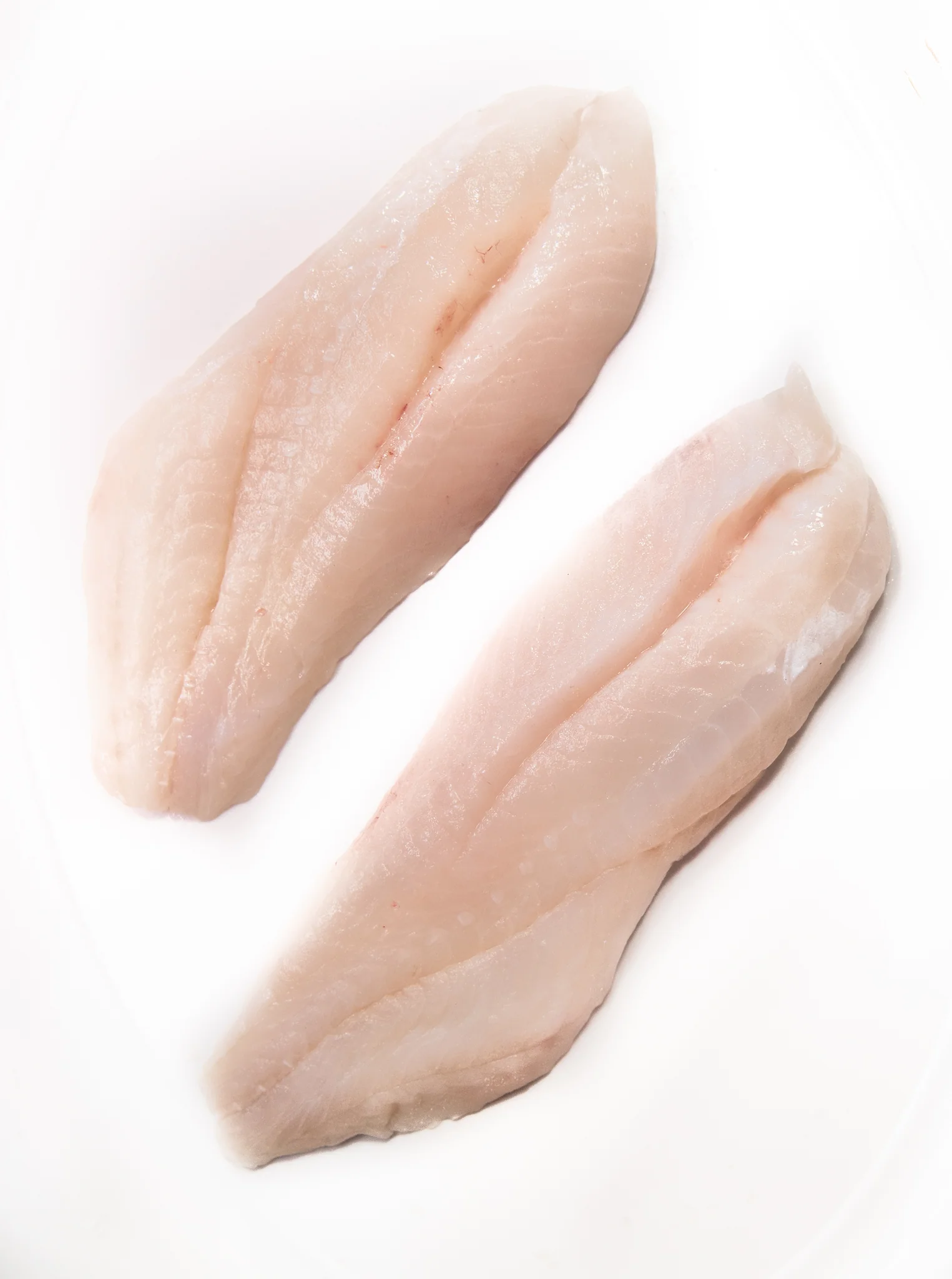 ocean-perch-2.jpeg