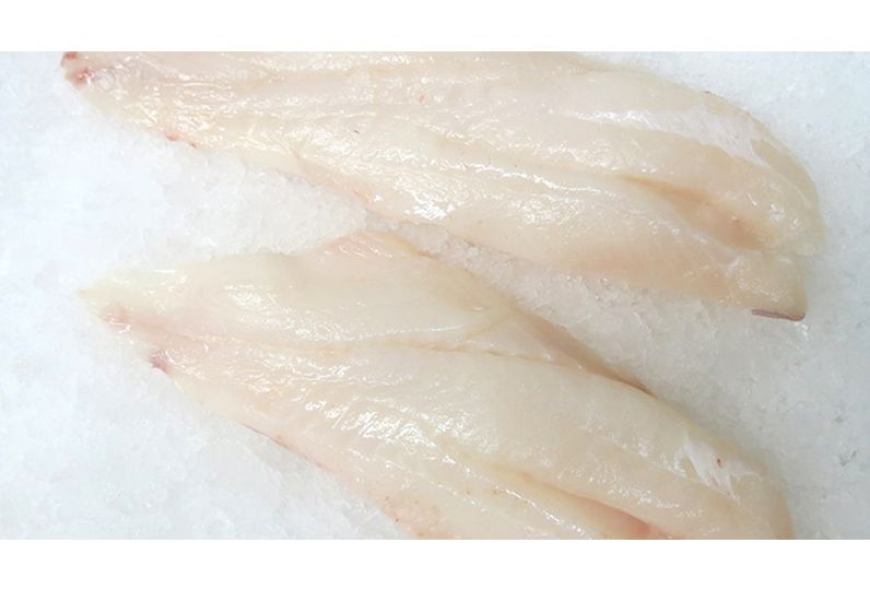 orange-roughy-fillet-1.jpg