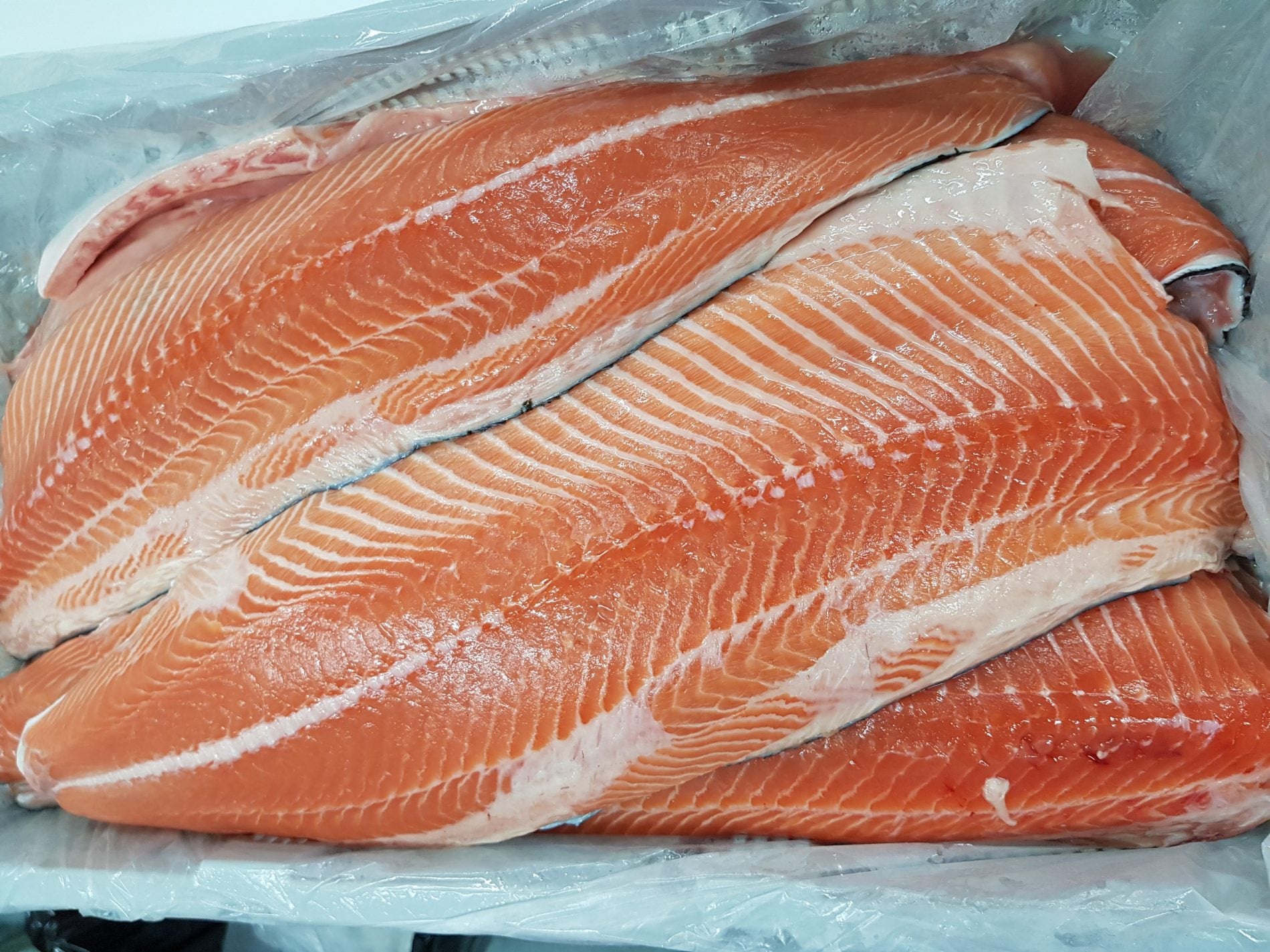 salmon-fillets-1.jpg
